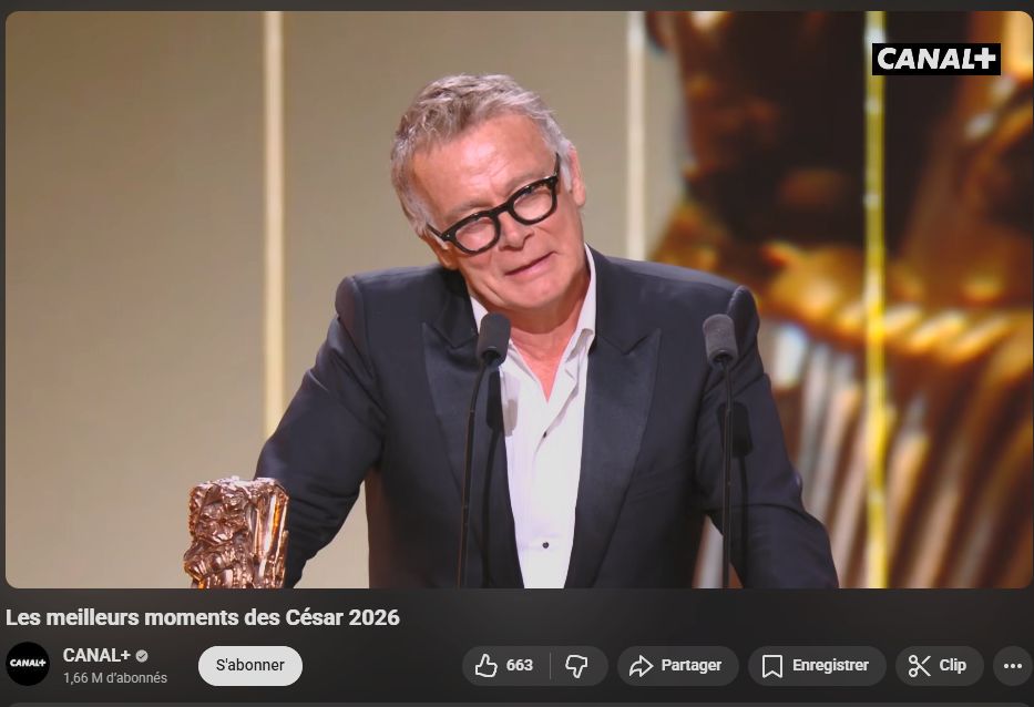 Regelegorila tweet media