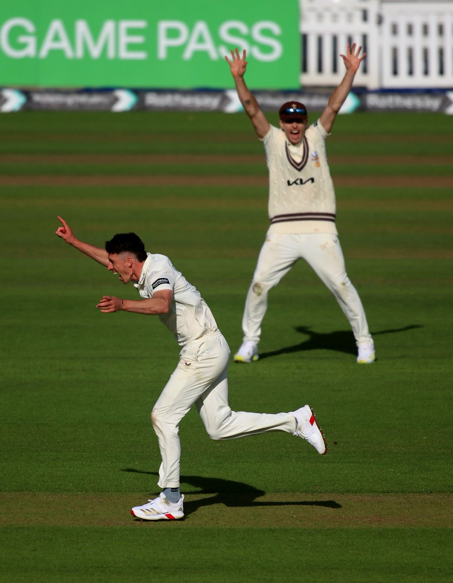 Surrey Cricket tweet media