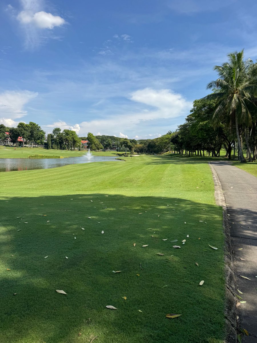 Rex Tattersall tweet media