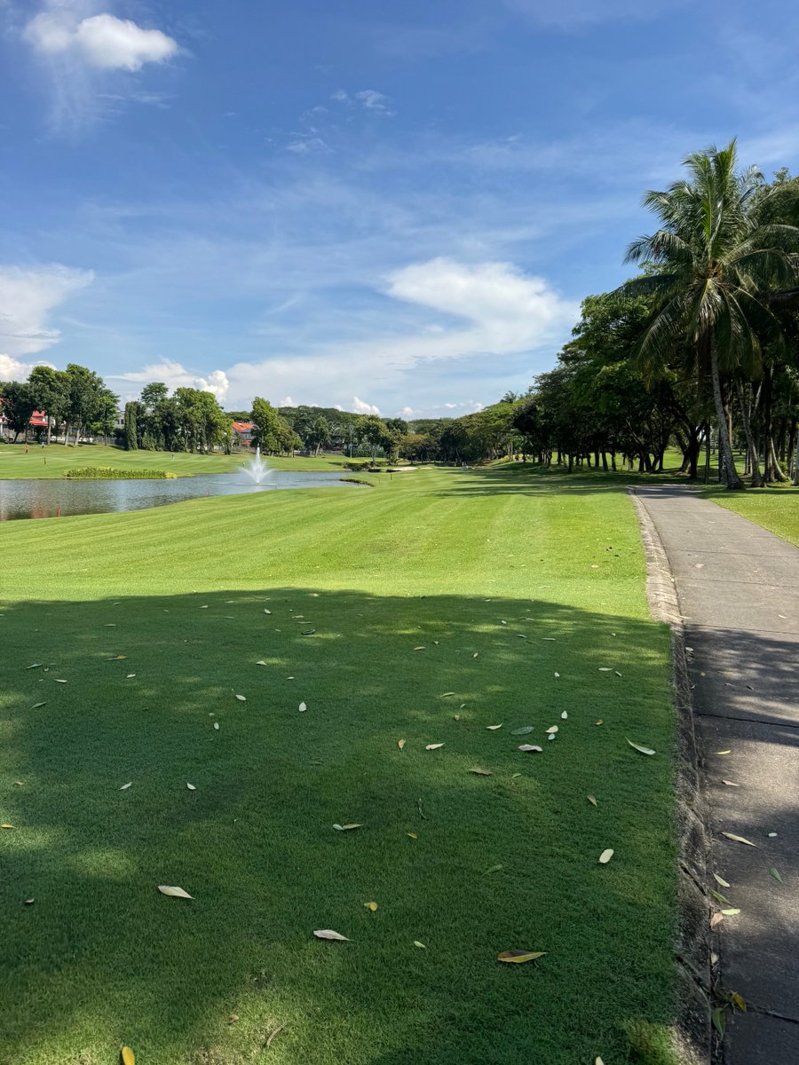 Rex Tattersall tweet media