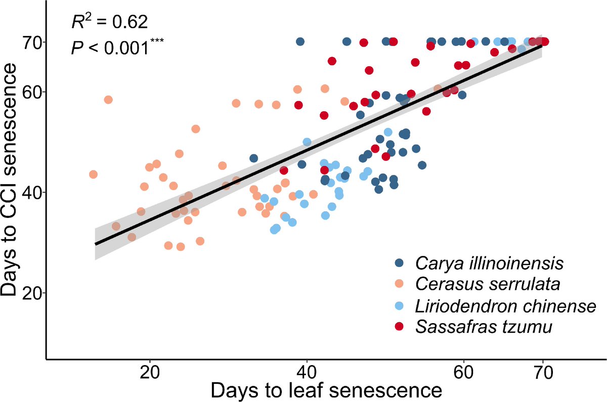 ForestryRes's tweet image. #ForestryRes #lowtemp #leaf #triggers #climatewarming
Exploring leaf senescence in subtropical trees: Low temp is key, but drought &amp;amp; short days step in during warm autumns.
@MaximumAcademic @Forestry_UK @plantstress2050
Details: maxapress.com/article/doi/10…