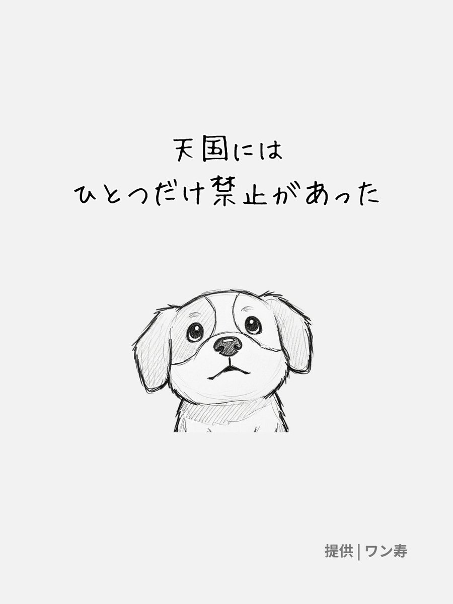 チビ太(CHIBITA🐰)のママ太 (@piccolocibi) / Posts / X