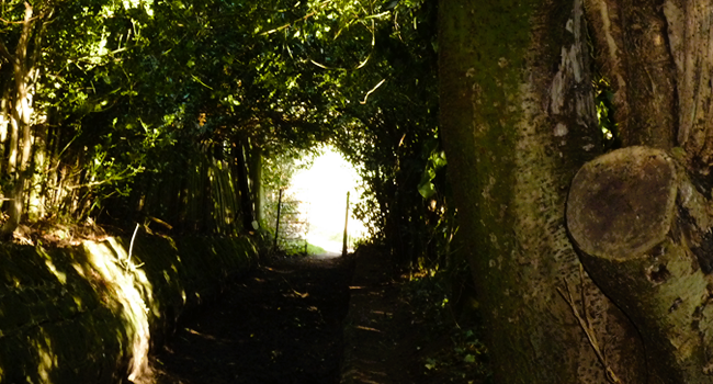 visitgreatayton's tweet photo. Step Outside. Discover More.

#VisitGreatAyton &amp; uncover big adventures in a beautiful corner of the @NorthYorkMoors
Whether you’re chasing views, steps, or simply space to think - the adventure starts here!

https://t.co/fvpvrCyKvD

#getoutdoors #greatayton #northyorkmoors https://t.co/6wuZBJyEC2