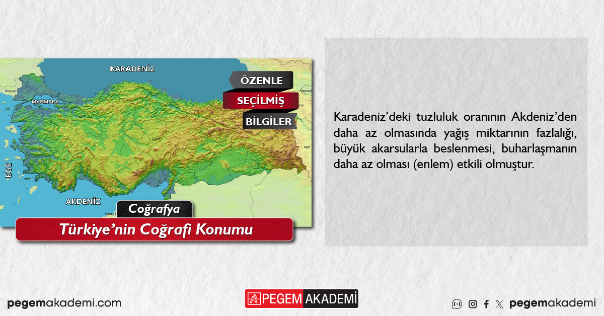 Pegem Akademi tweet media