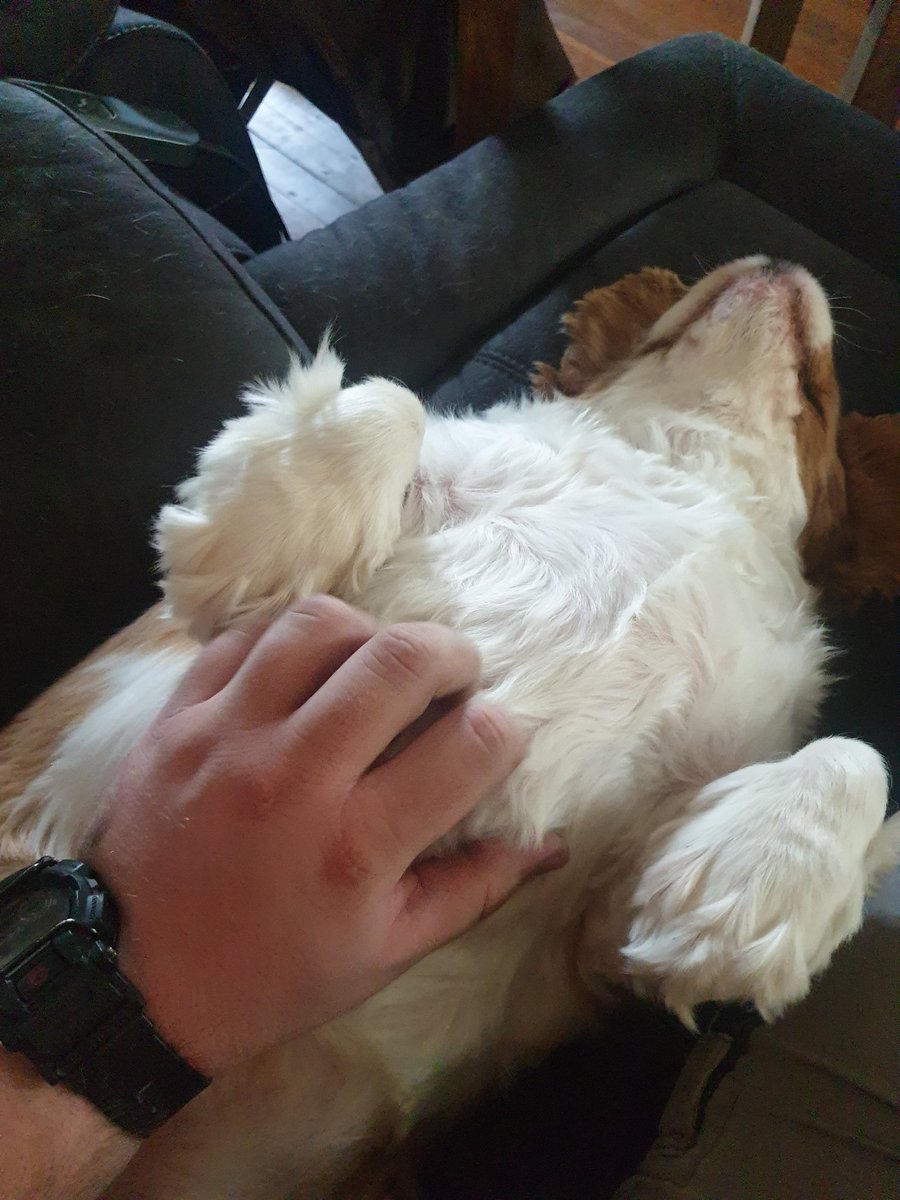 Mr Jet Jaguar tweet media