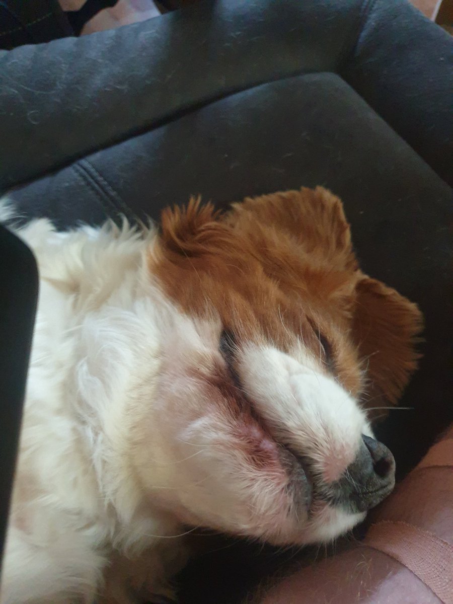 Mr Jet Jaguar tweet media