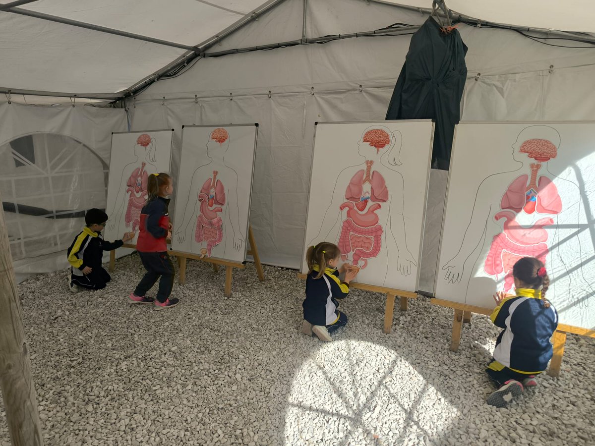 Salesianos Guadalajara tweet media