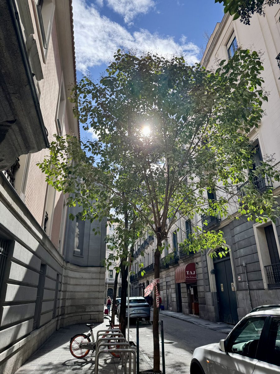 A Madrid le sienta muy bien la primavera anticipada 🌞
