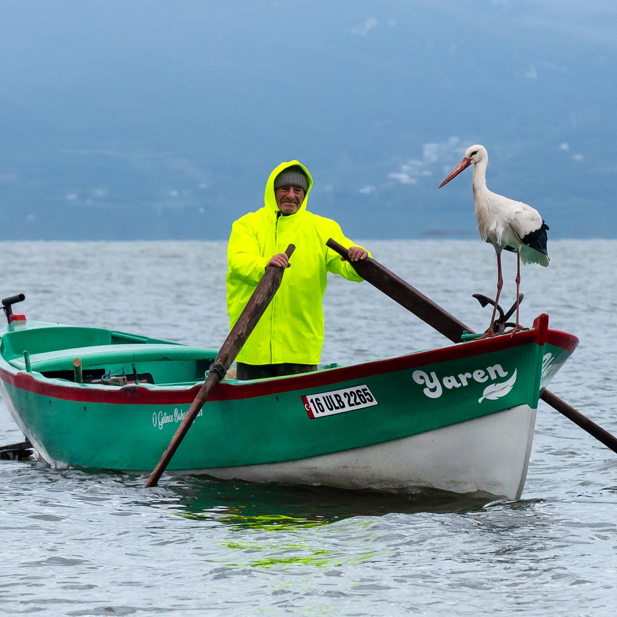 Adem Amca, Yaren leyleğe 15. kez kavuştu.