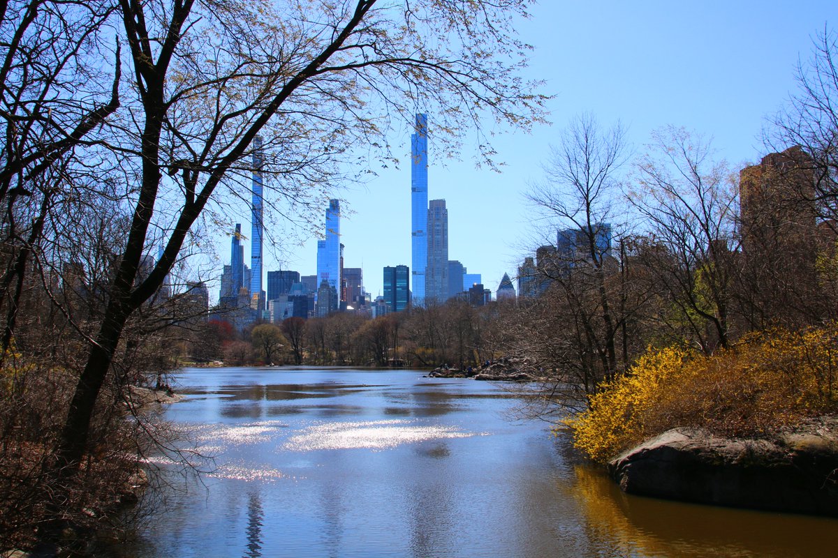 Als jij (of iemand die je kent) naar New York gaat in maart, bekijk dan mijn kalender zodat je ziet wat er speelt tijdens je verblijf in de stad: newyork.nl/evenementen/wa…