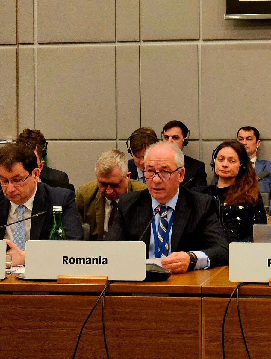 Permanent Mission of Romania in Vienna 🇷🇴 tweet media
