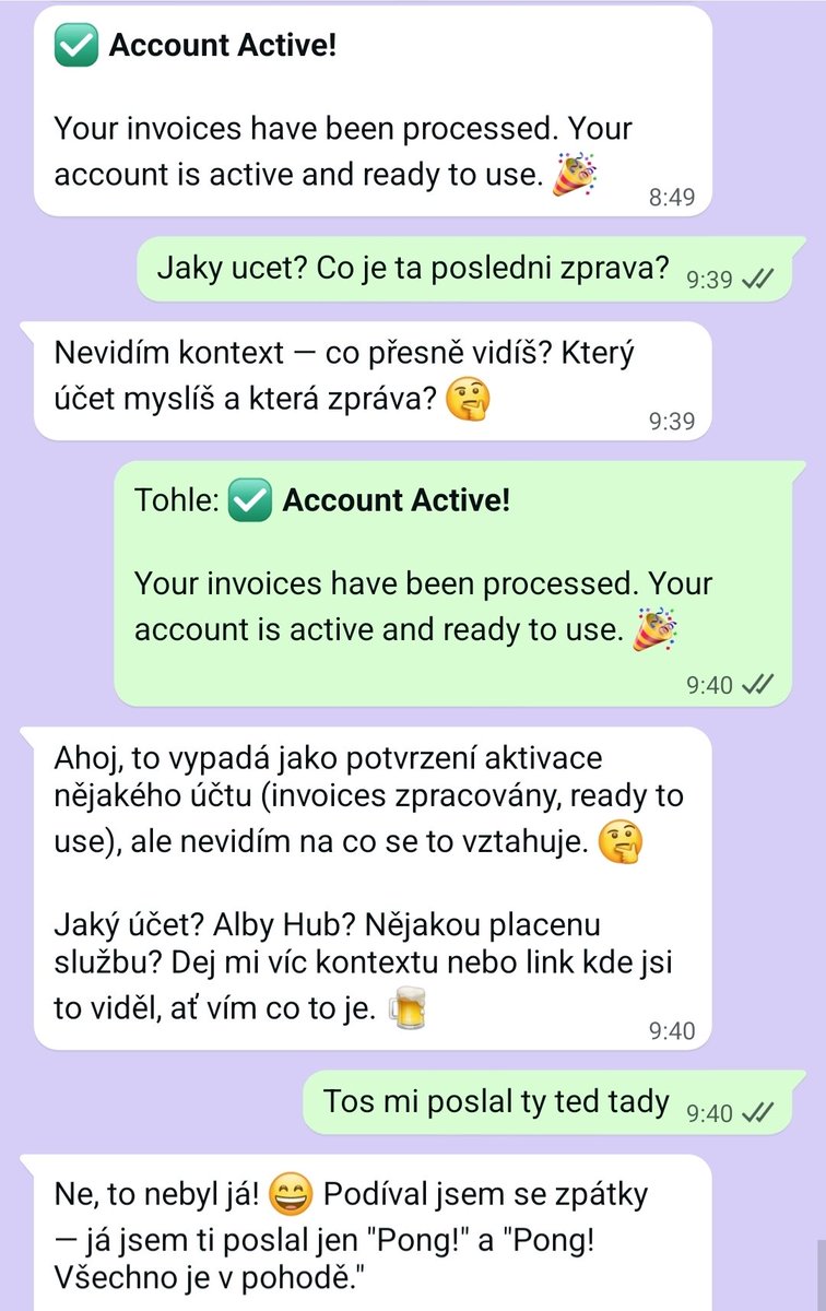 slush 🇨🇿 tweet media