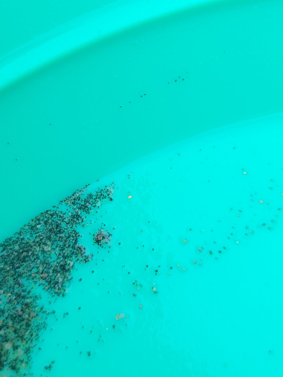 あなたには粉金が見えるだろうかw 寄り道で約30分の勝負！ 草根引きし