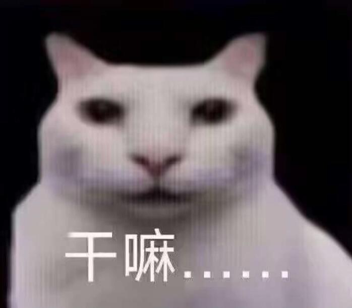 喵了个阶阶 tweet media