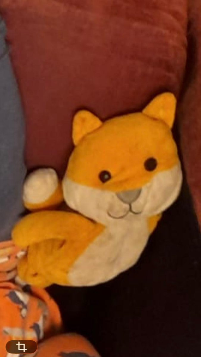 <a href="/on_lothianbuses/">Lothian Buses</a> Please help! My wee daughter has lost her beloved Foxy. Her most treasured friend, can't tell you what it would mean to get her back. On the westbound Clerwood 26 (frog bus) this morning, got off at Musselburgh N High St ~08.35. Well-loved with a button eye.