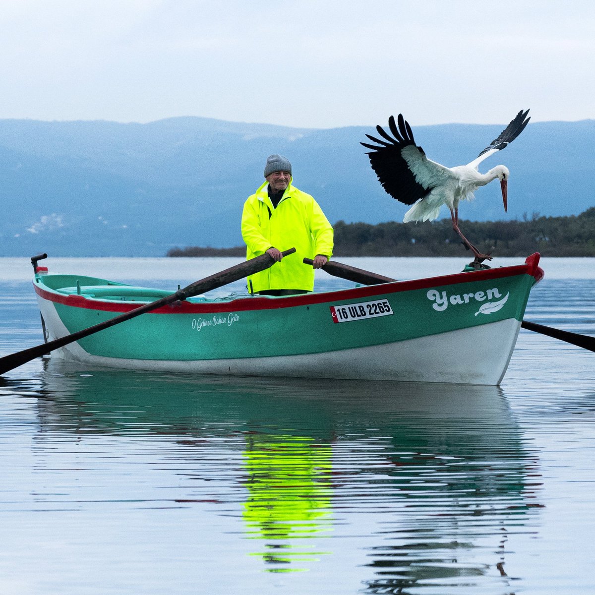 Yaren leylek ve Adem amca, 15. yılda da birbirlerine kavuştu.