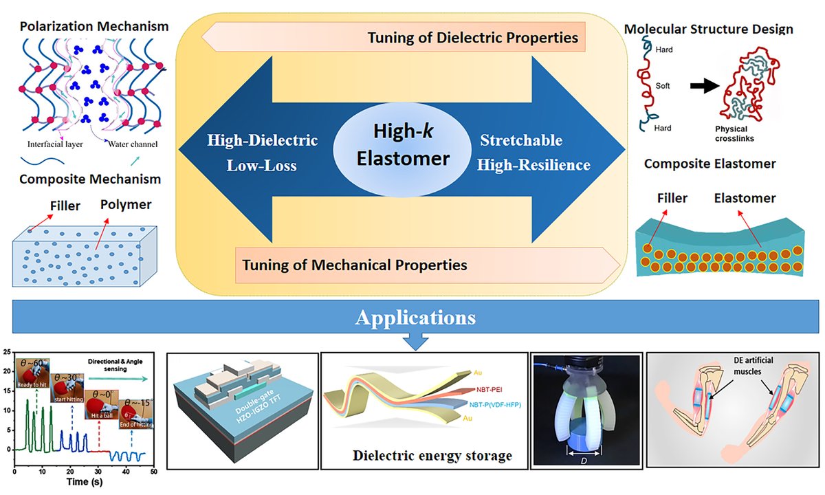 Soft Science tweet media