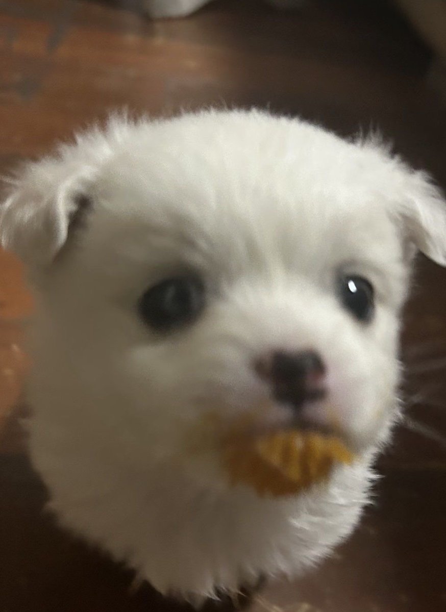 世界上淫商最高的女人 tweet media