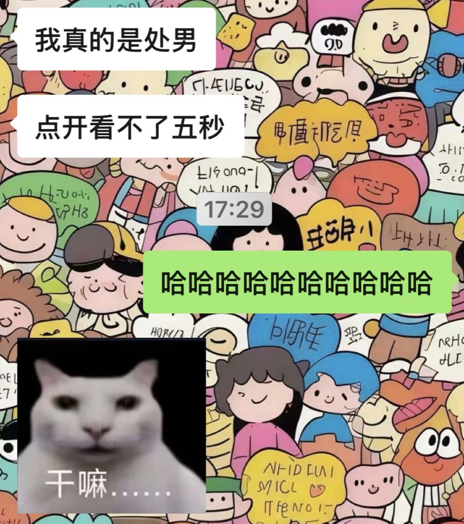 袋鼠🦘 tweet media