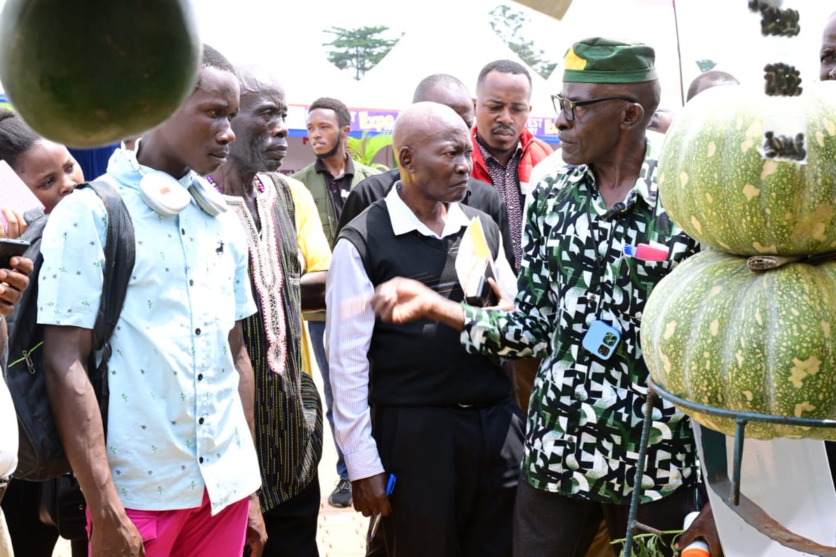 The New Vision tweet media