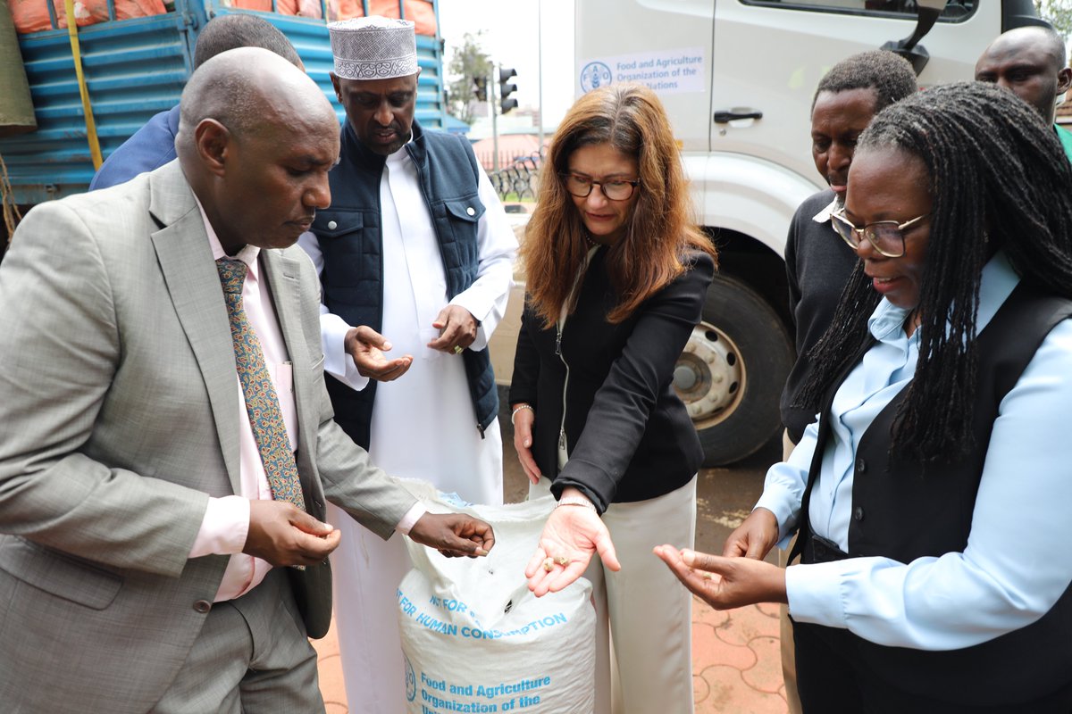 📢Through <a href="/EUinKenya/">European Union In Kenya</a> funded #PLACE programme, <a href="/FAO/">Food and Agriculture Organization</a> procured 8064 bags of range cubes to sustain livestock production of milk &amp; meat during the current drought period.

🎤<a href="/EUAmbKenya/">Henriette Geiger</a> <a href="/harsama_kello/">PS Kello Harsama,CBS</a> <a href="/ZimudziFarayi/">Farayi Zimudzi</a> <a href="/HamisiWilliams/">Hamisi Williams</a> flagged off the consignment to #Mandera County.