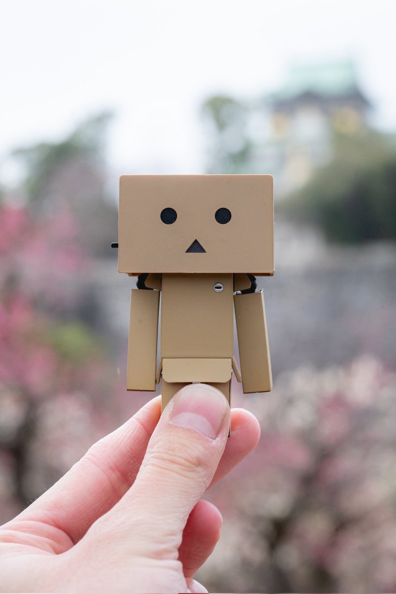 PANORAMA tweet media