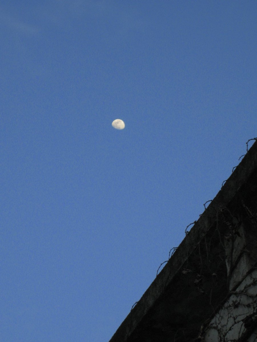 화면만 보고 역시 달은 잘 안 나오네~ 했는데
옮기고 보니 이거 뭐에요.. 왜 잘 나왔지