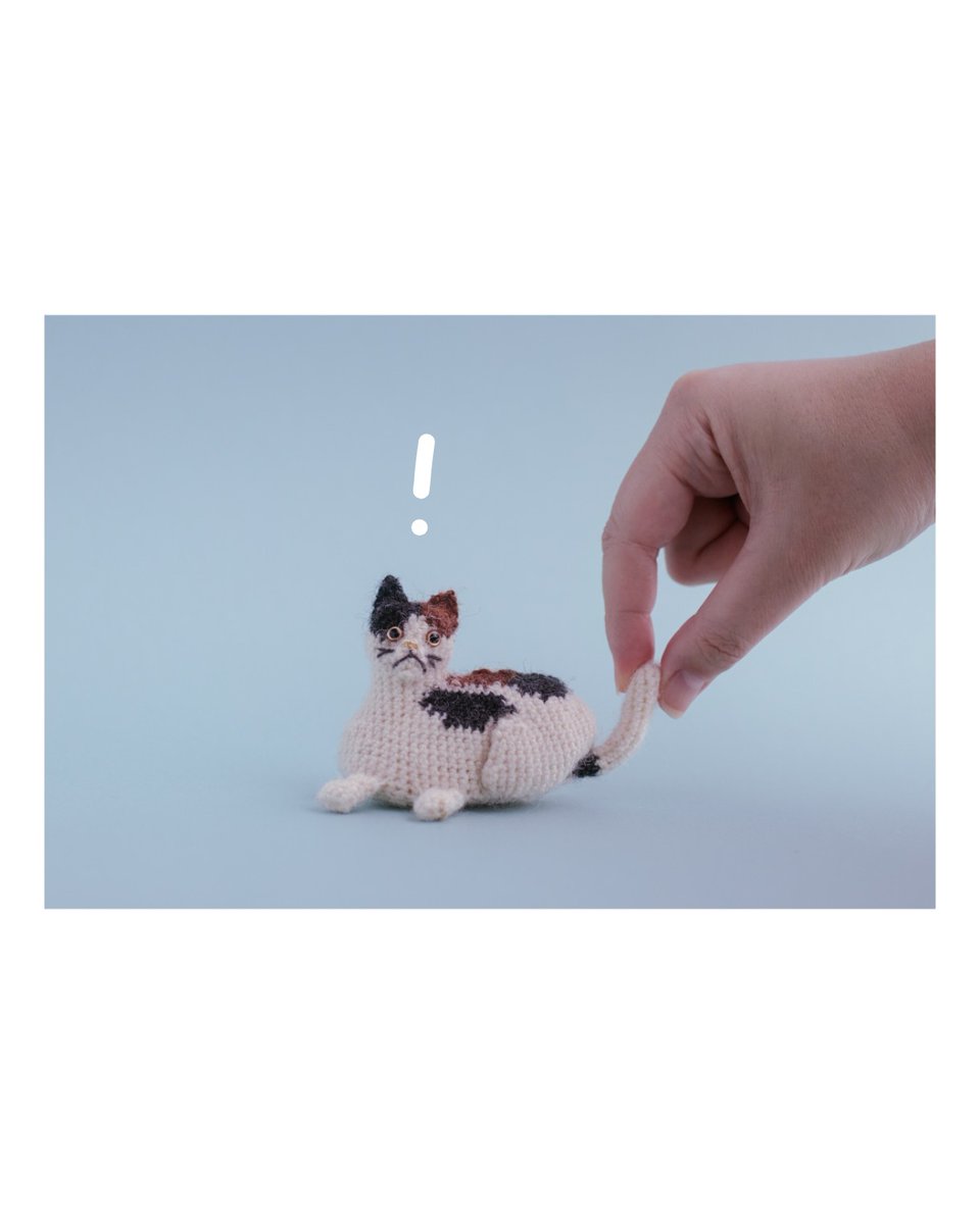 今年のORDER会 うちのねこのこあみぐるみは、2月いっぱい受付中です