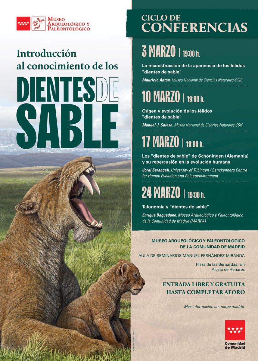 Mauricio Anton tweet media