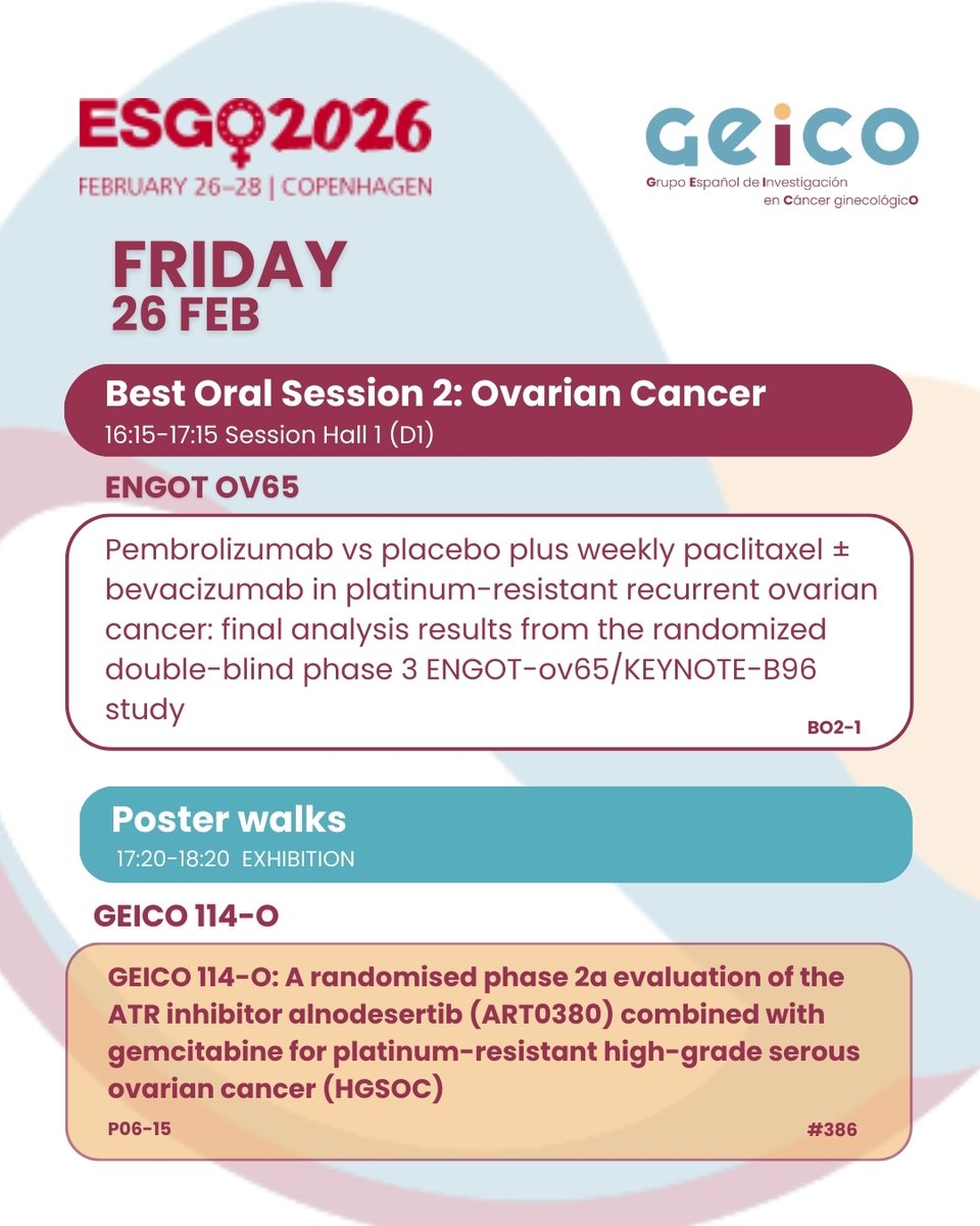 GEICO-Spanish Gynaecological Cancer Research Group tweet media