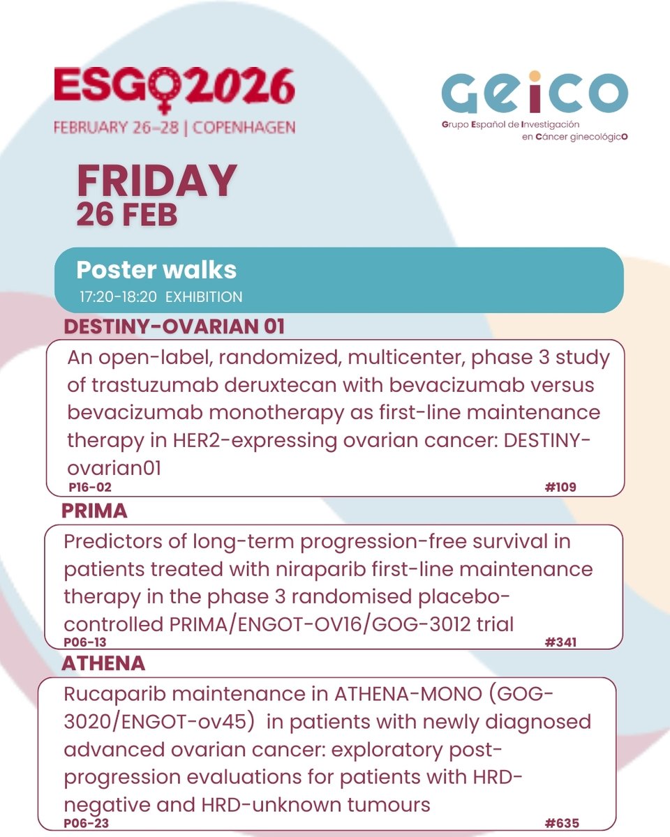 GEICO-Spanish Gynaecological Cancer Research Group tweet media