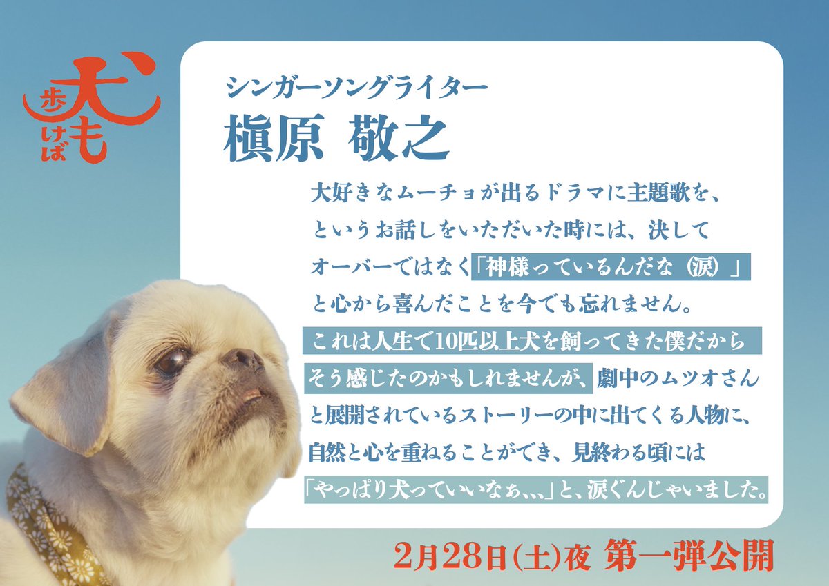 「犬も歩けば」　犬と人の人情ドラマ tweet media