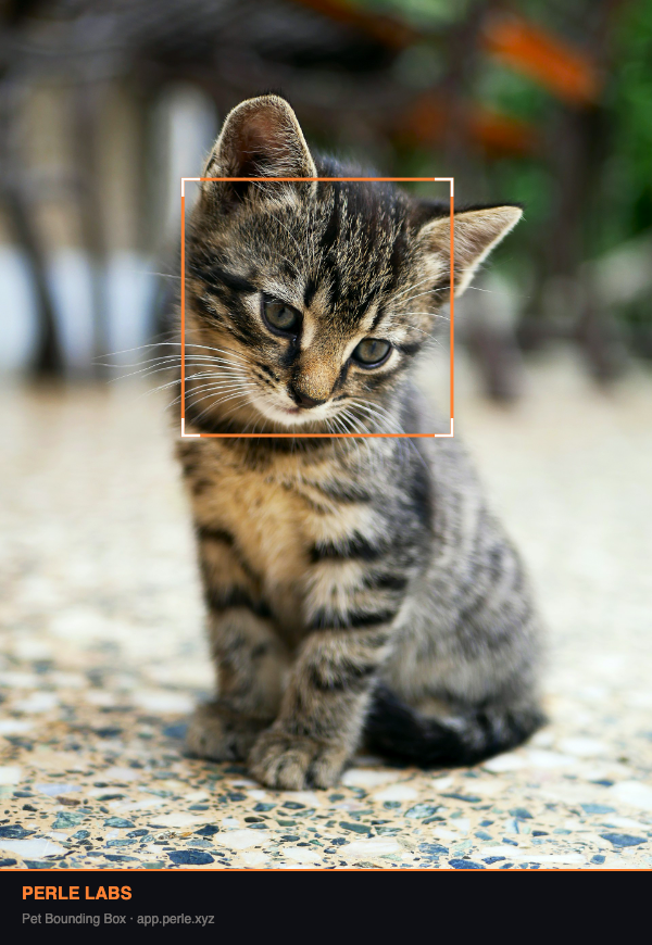 whynot.ink | base.eth tweet media