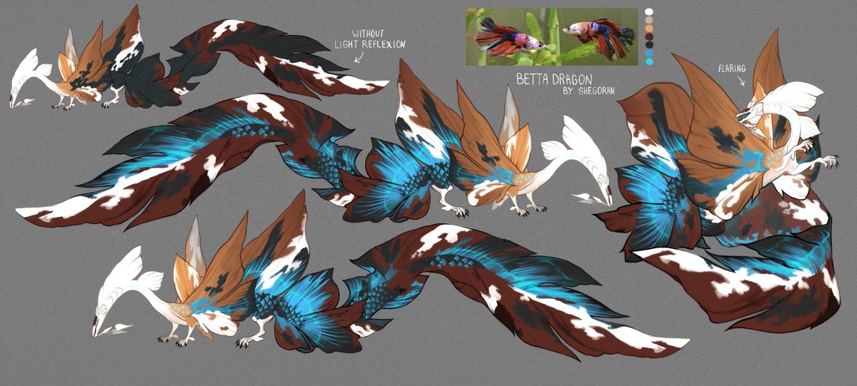 Shegoran tweet media