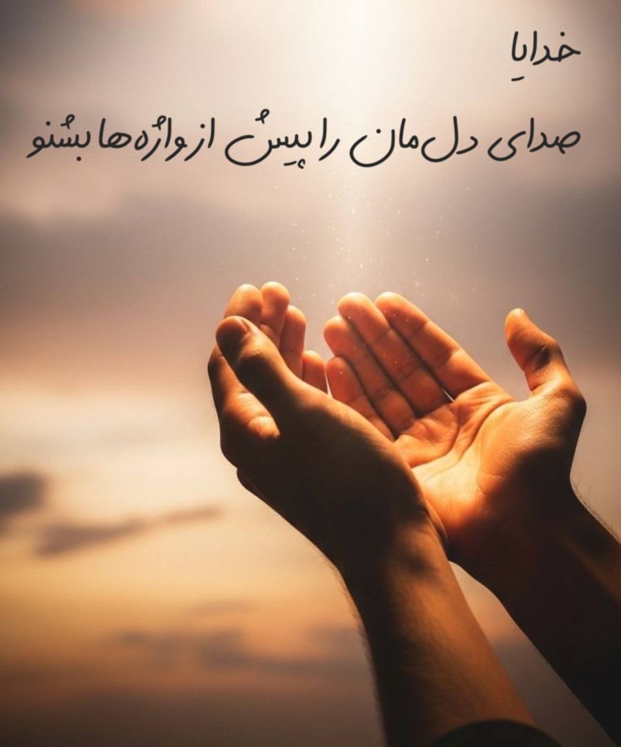 feri.7074 tweet media