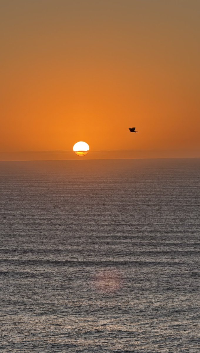 Amanece Mardel.
Vivir acá es un montón.
Buen viernes