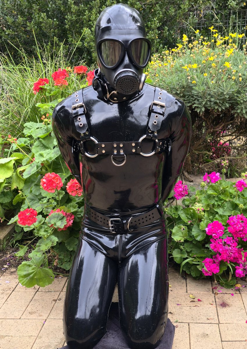 Rubber_ADL tweet media