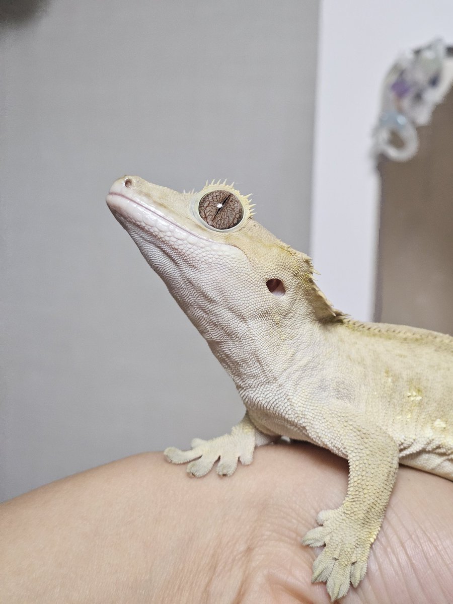 26°C🍒 tweet media