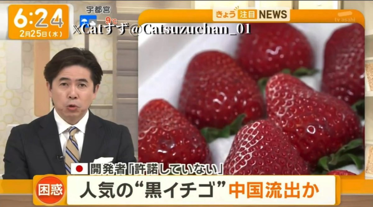 中野 牌人 (@nakanohaito) / Posts / X