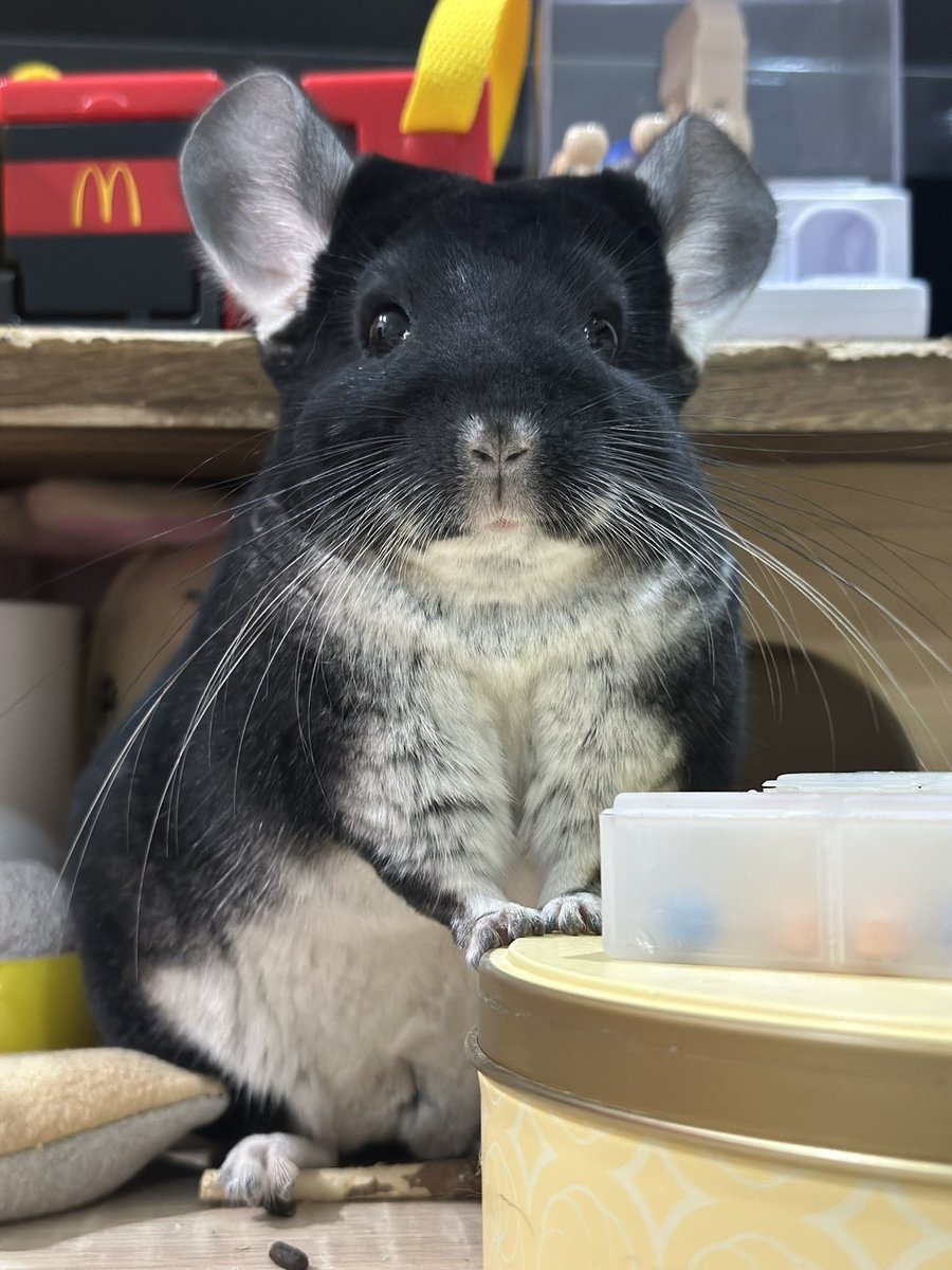 提醒媽咪吃藥🥰