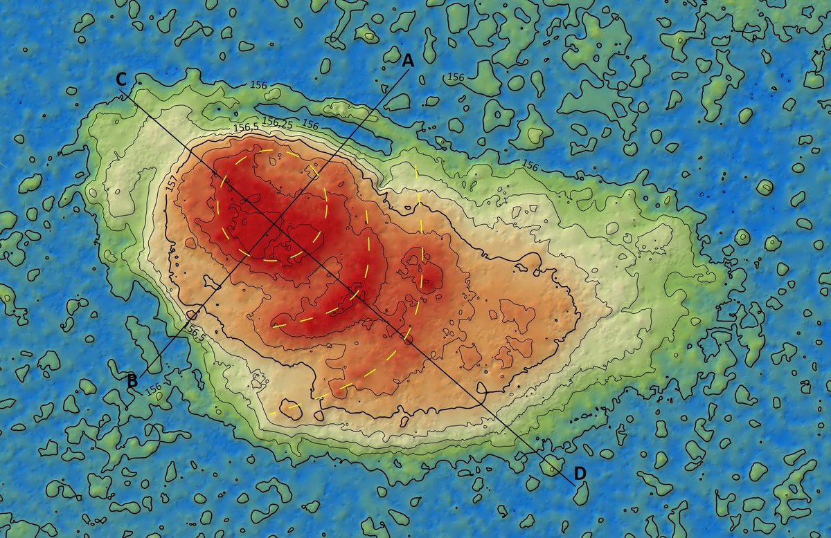 dwolosiuk's tweet photo. Szanowni Moi Kochani,

Muszę się pochwalić 
Nie wszyscy wiecie, że z zamiłowania jestem też archeologiem amatorem i drogą dedukcji odkryłem wczesnośredniowieczne grodzisko. 

Przygoda była czy jest o tyle ekscytująca, że grodzisko znajduje się kilka kilometrów od mego rodzinnego domu. 
Ustaliłem w źródłach historycznych przebieg granicy między Wielkim Księstwem Litewskim a Koroną Polską i uznałem, że jeśli jest granica to musi być i stanica. Co akurat już było łatwiej odszukać przy pomocy geoportalu. 
A jednak aż 3 lata zajęło mi znalezienie drogi do grodziska ukrytego w środku sporych bagien. 

Dziś mogę już o tym oficjalnie pisać bo Wojewódzki Konserwator Zabytków właśnie oficjalnie opublikował wyniki badań archeologicznych po dokładnym przebadaniu grodziska w ubiegłym roku. 

Znaleziono 244 przedmioty z okresu od X do XII wieku. 

Według moich ustaleń grodzisko zostało spalone przez Jadźwingów w 1248 roku o czym wspomina Kronika Halicko- Wołyńska. Grodzisko pewnie jest częścią tzw Grodów Czerwieńskich.

Cóż… byłem pierwszym człowiekiem od 800 lat, który świadomie wiedział, że znajduje się na miejscu dawnego pogranicznego grodu. 

Kiedy tam trafiłem artefakty takie jak skorupy naczyń czy groty strzał leżały po prostu w liściach na powierzchni. 
Niesamowita przygoda. 

Jak tam trafiłem :) oto jest pytanie