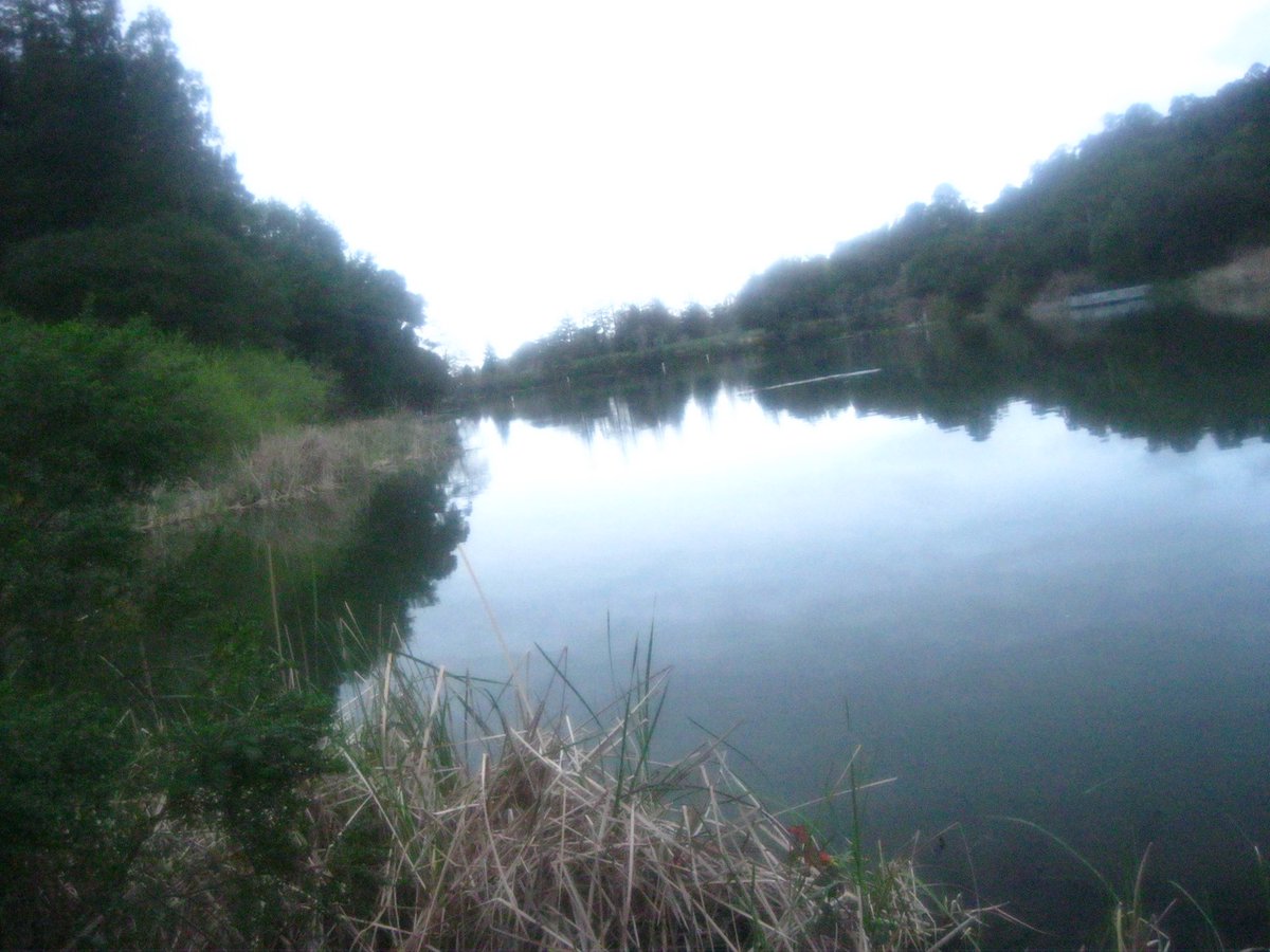 koji (@inklingkirby) on Twitter photo 