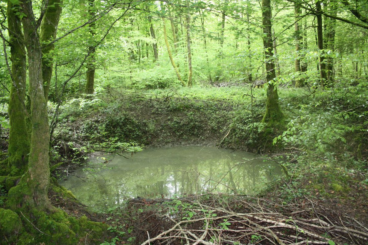 Discovering the frontline and beyond. tweet media