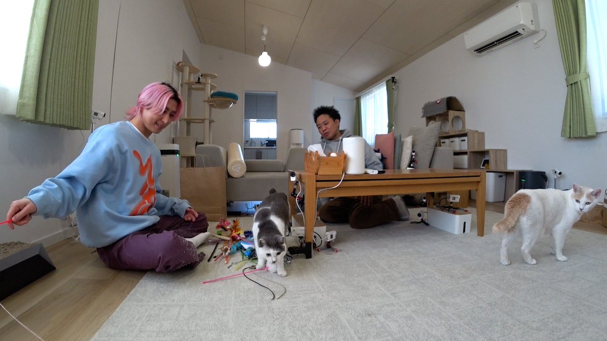 📺️今夜の『みんなの動物園』2時間SP

Snow Man佐久間大介、
“師匠”サンシャイン池崎の自宅を訪問🩷

スーパー猫好きアイドルが
池崎家の風神＆雷神を喜ばせるために
あの手この手で大奮闘🐈‍⬛🐈
oricon.co.jp/news/2439085/f…

#嗚呼みんなの動物園