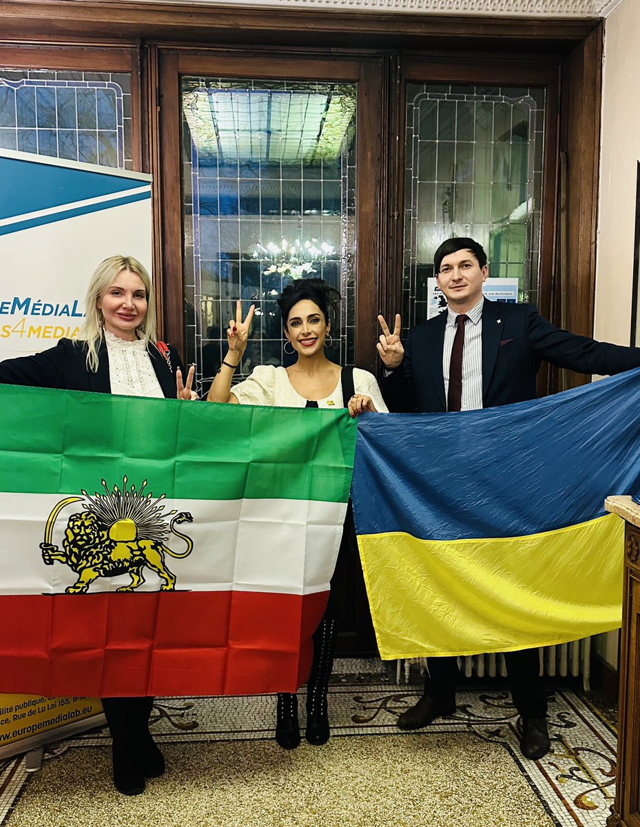 Darya Safai MP tweet media