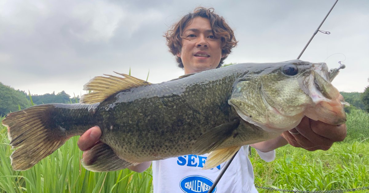 Megabass メガバス株式会社 (@megabass_jp) / Posts / X