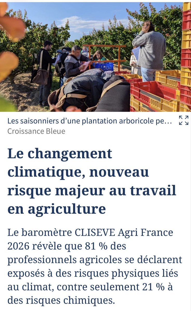 Thomas Bégon tweet media