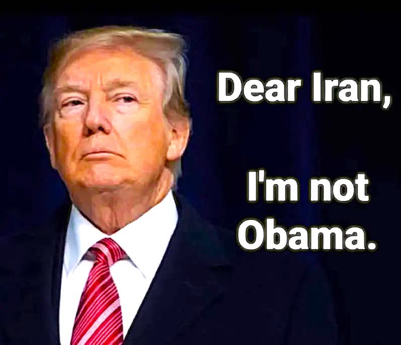 🌴🌞🇺🇸 Florida Mama🇺🇸🌞🌴 tweet media