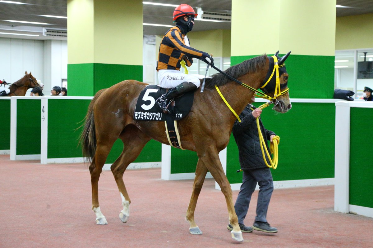 ばっしー4989 (@bassie4989jp) / Posts / X