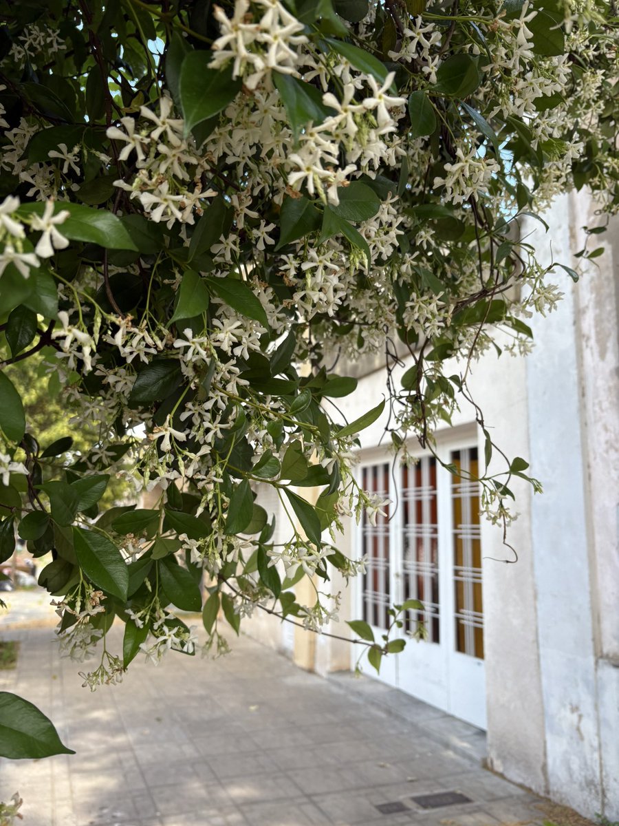 tamiramirez13's tweet photo. mi galería de fotos se basa en https://t.co/T6F08GhKRp